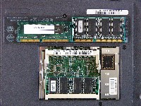 �������[�̑傫��