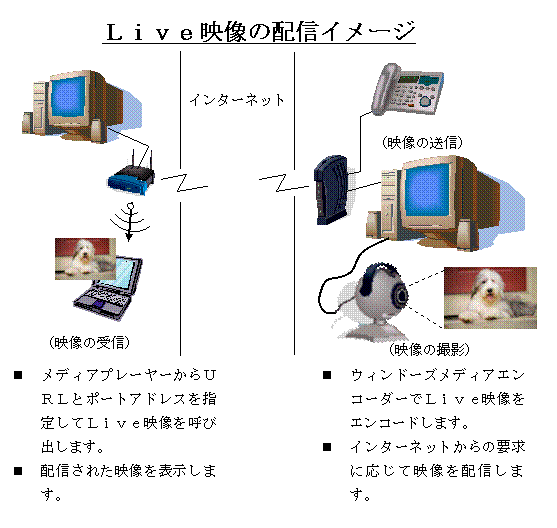 �k�������f���z�M�̔z�M�C���[�W